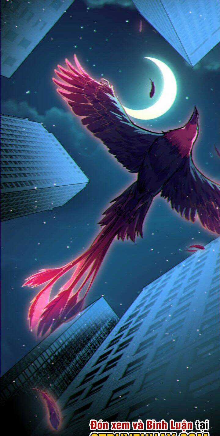 Các Nàng Nói Ta Là Vua Tương Lai Chapter 4 trang 25