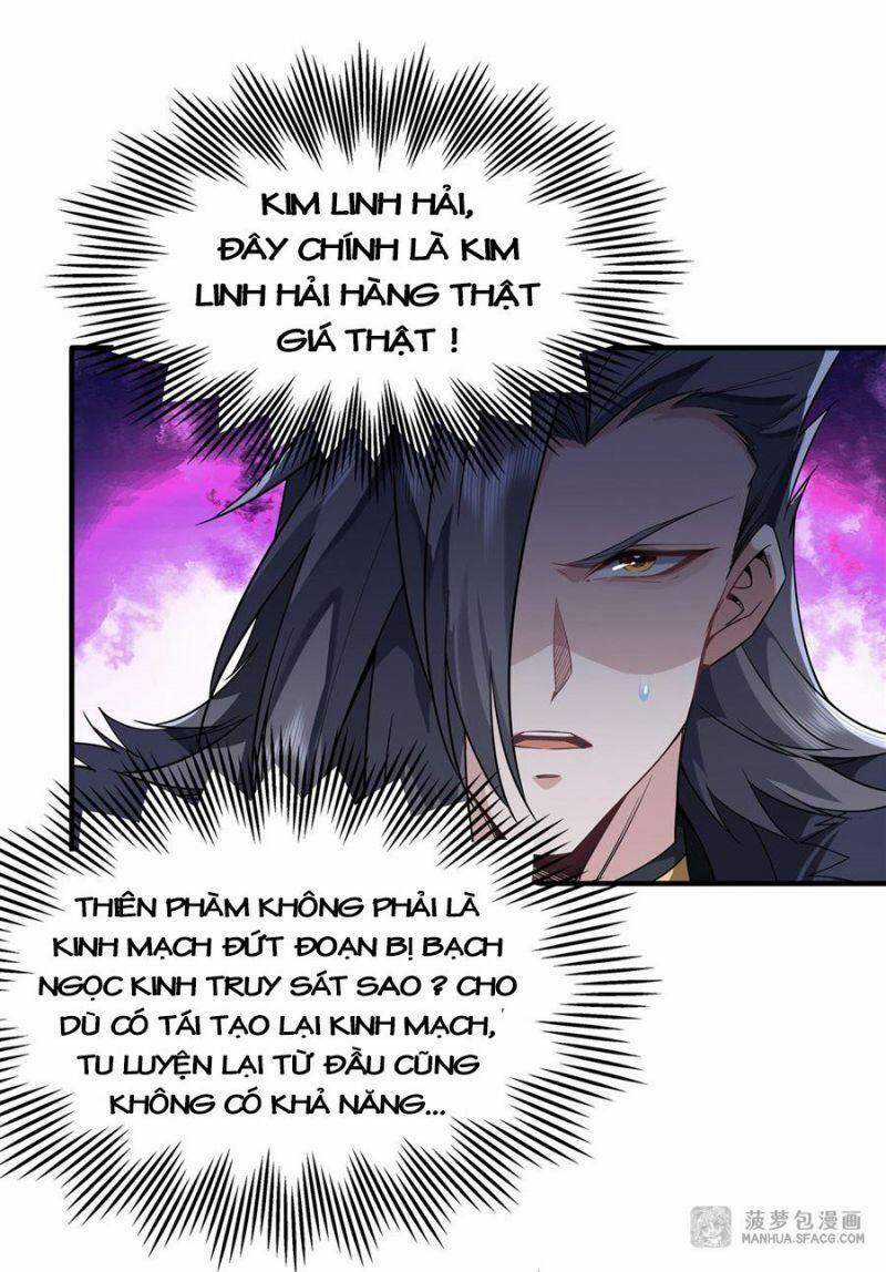 Các Nữ Đồ Đệ Của Ta Đều Là Chư Thiên Đại Lão Tương Lai Chương 16 trang 36