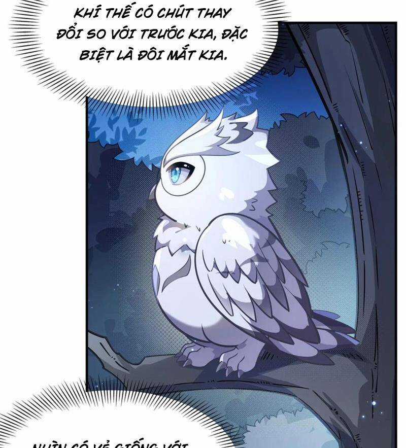 Các Nữ Đồ Đệ Của Ta Đều Là Chư Thiên Đại Lão Tương Lai Chương 193 trang 6