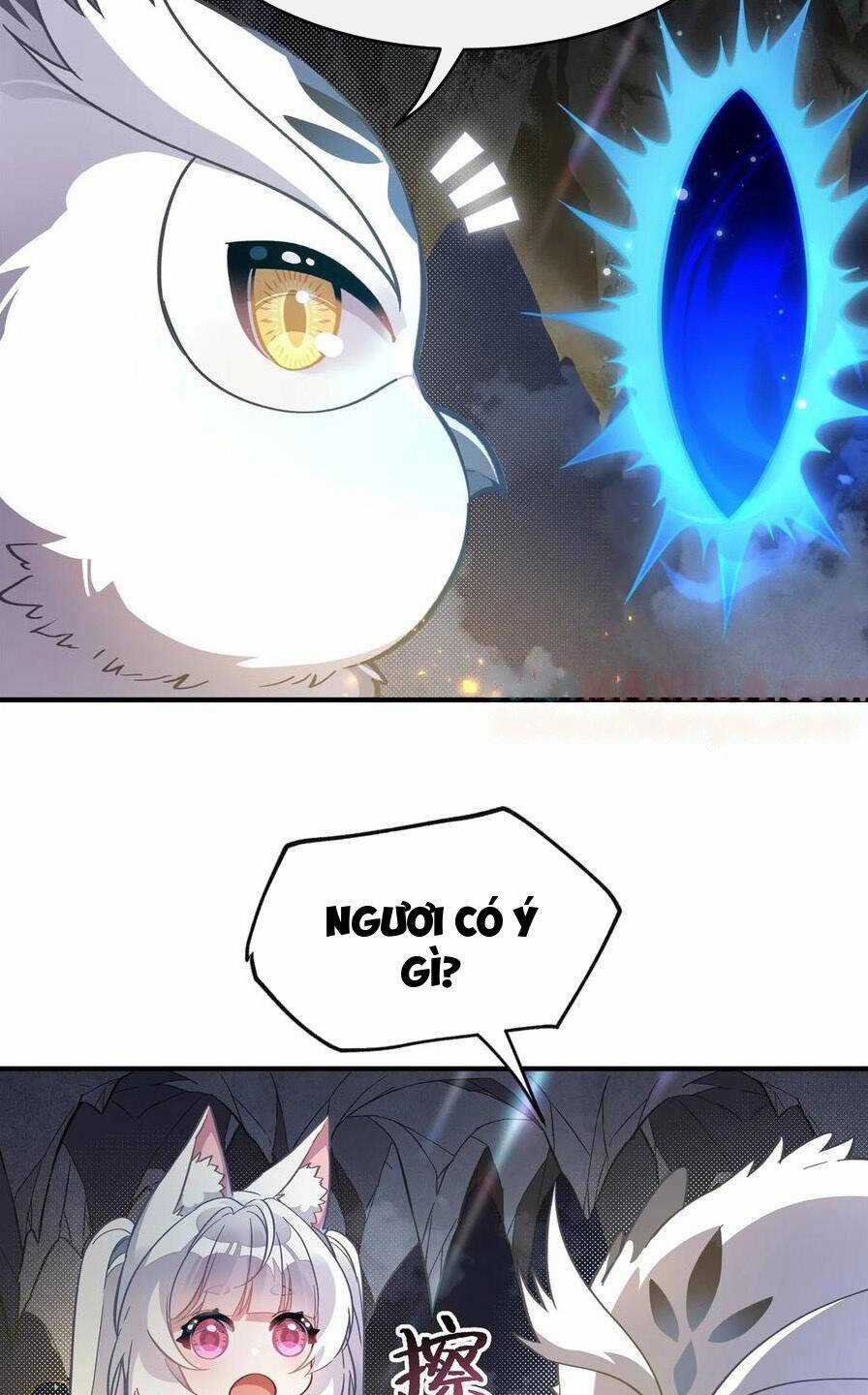 Các Nữ Đồ Đệ Của Ta Đều Là Chư Thiên Đại Lão Tương Lai Chương 199 trang 33