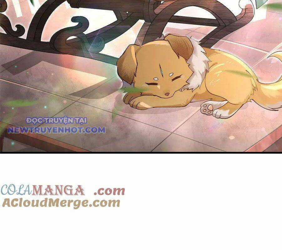 Các Nữ Đồ Đệ Của Ta Đều Là Chư Thiên Đại Lão Tương Lai Chương 322 trang 79