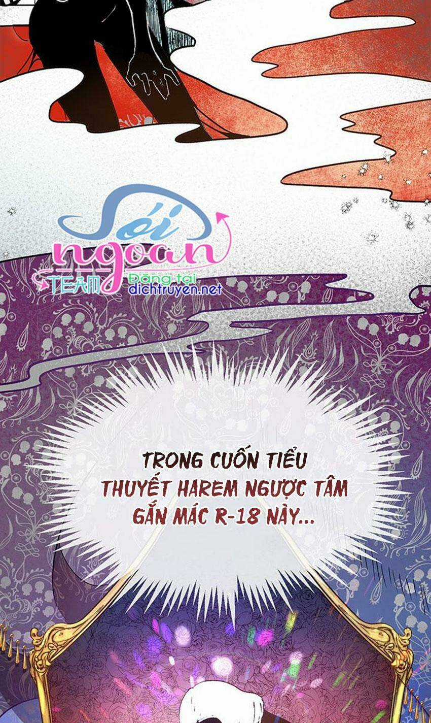 Cách Bảo Vệ Anh Trai Của Nữ Chính Chapter 1 trang 15