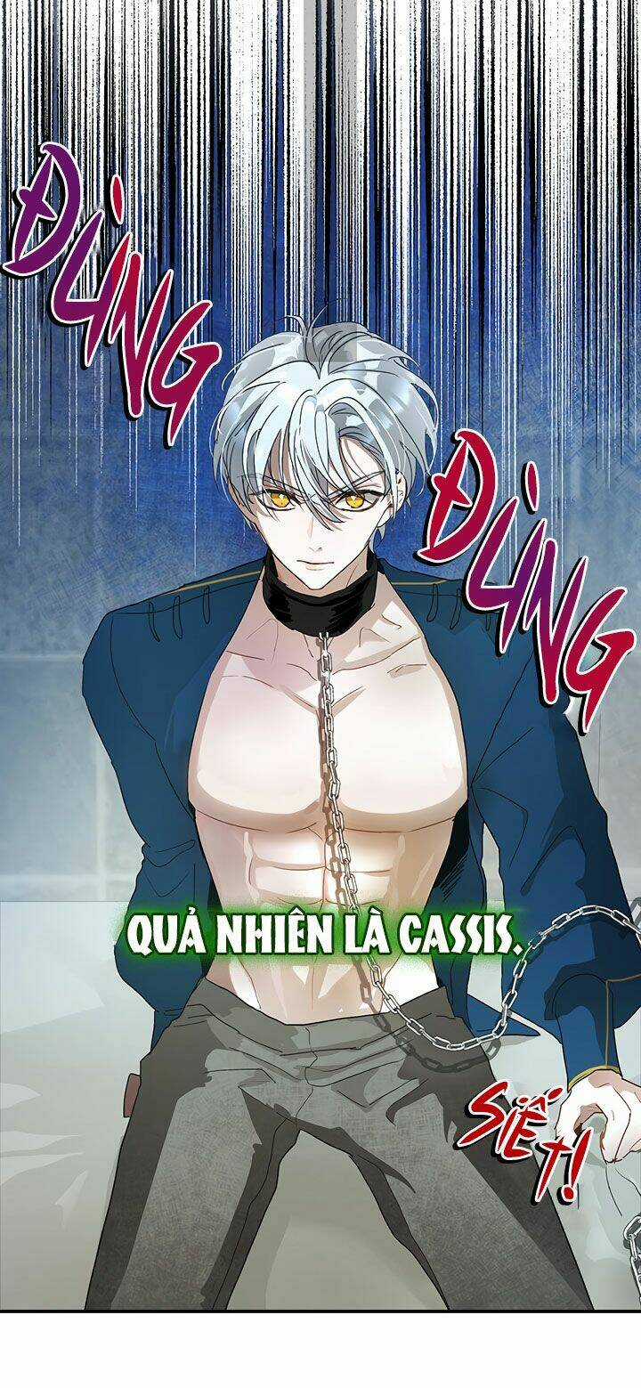 Cách Bảo Vệ Anh Trai Của Nữ Chính Chapter 13 trang 19