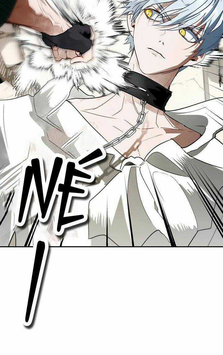 Cách Bảo Vệ Anh Trai Của Nữ Chính Chapter 15 trang 24