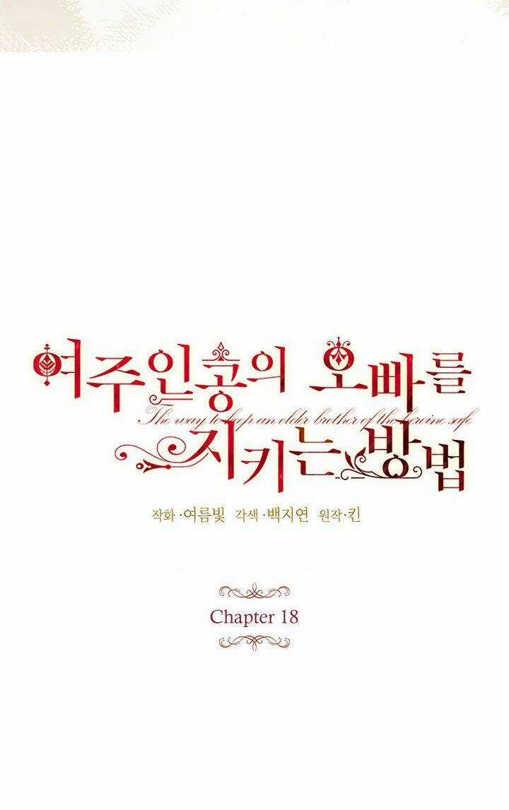 Cách Bảo Vệ Anh Trai Của Nữ Chính Chapter 18 trang 15