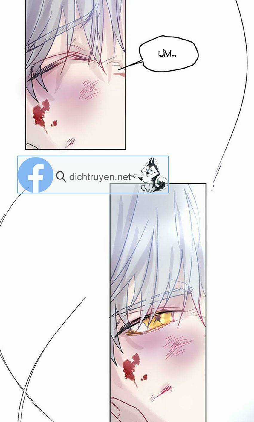 Cách Bảo Vệ Anh Trai Của Nữ Chính Chapter 2 trang 47