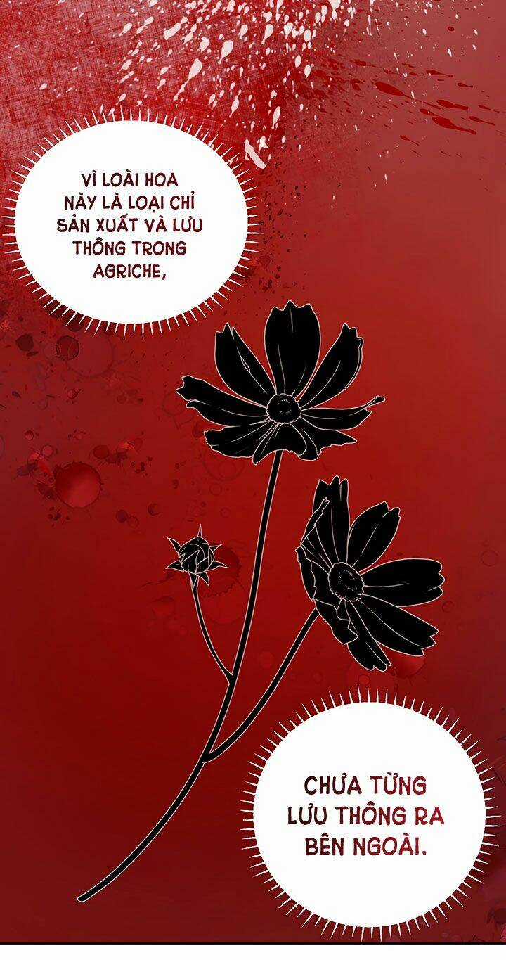 Cách Bảo Vệ Anh Trai Của Nữ Chính Chapter 20 trang 8