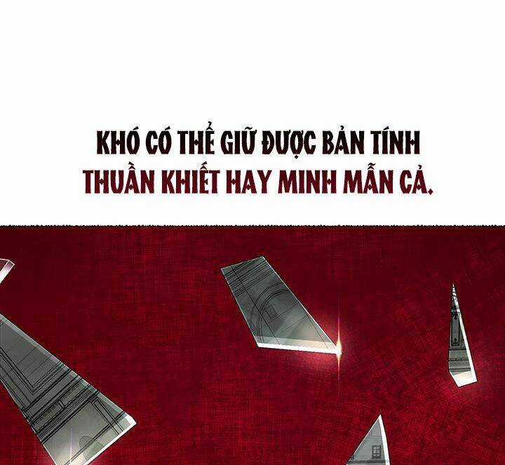 Cách Bảo Vệ Anh Trai Của Nữ Chính Chapter 21 trang 11