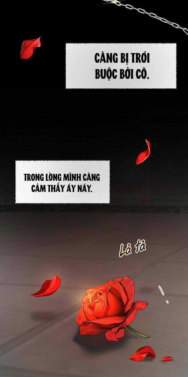 Cách Bảo Vệ Anh Trai Của Nữ Chính Chapter 21 trang 17