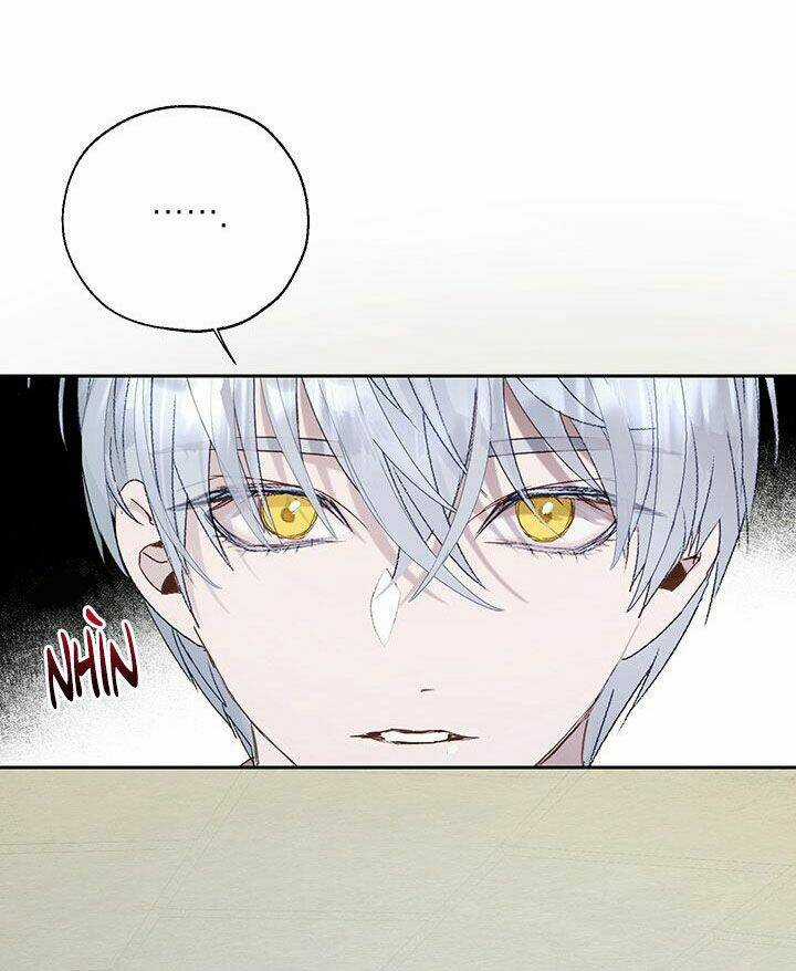 Cách Bảo Vệ Anh Trai Của Nữ Chính Chapter 22 trang 52