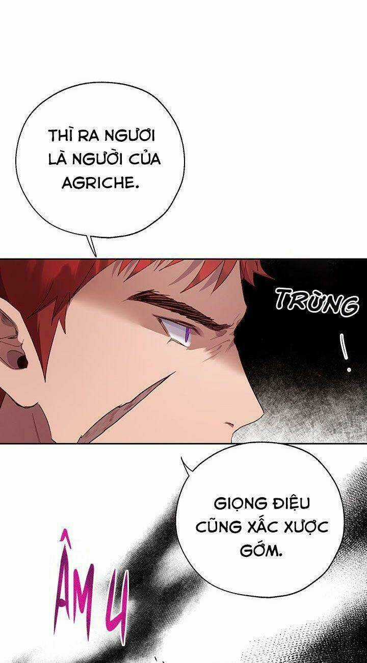 Cách Bảo Vệ Anh Trai Của Nữ Chính Chapter 31 trang 37