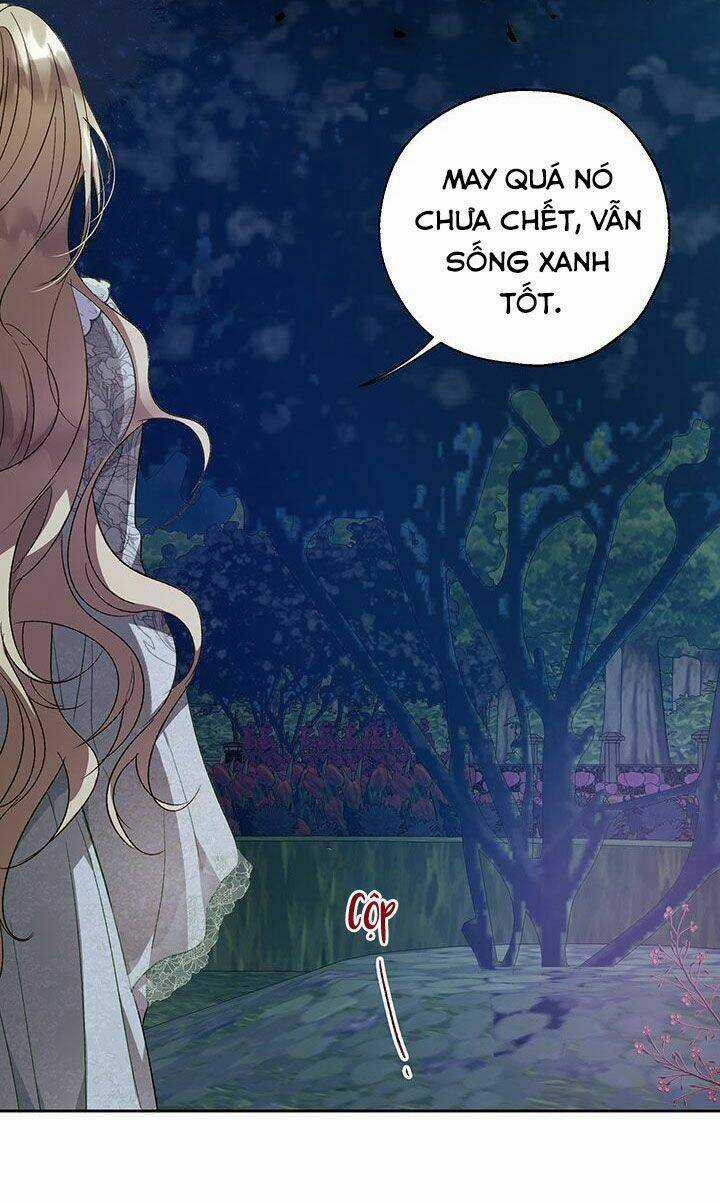 Cách Bảo Vệ Anh Trai Của Nữ Chính Chapter 32 trang 52