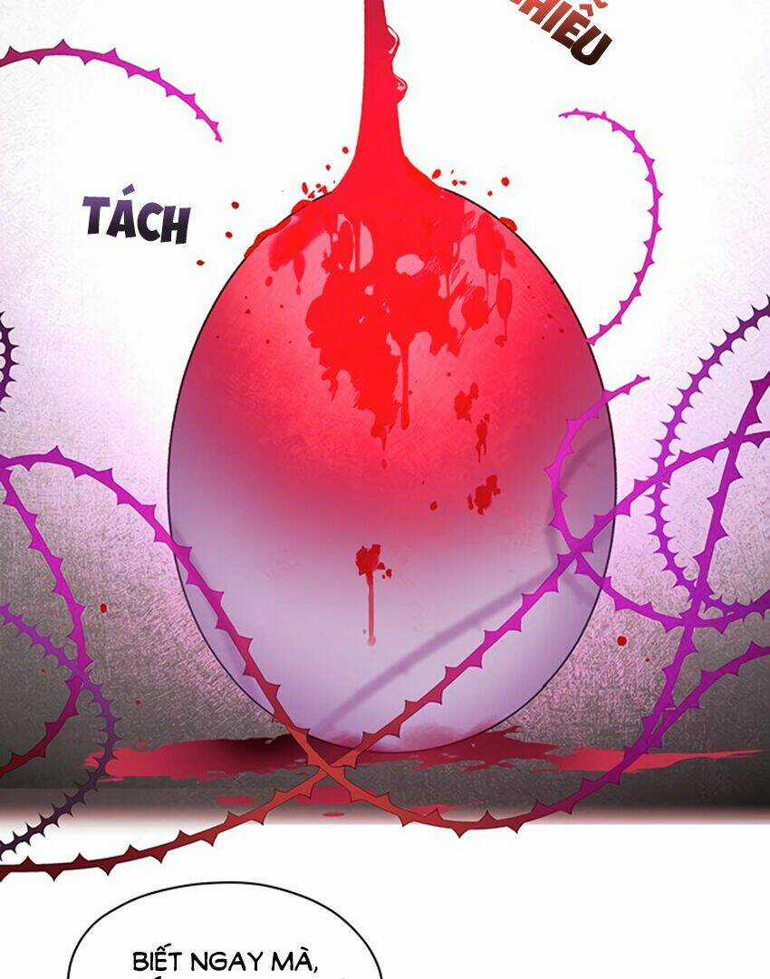 Cách Bảo Vệ Anh Trai Của Nữ Chính Chapter 5 trang 11