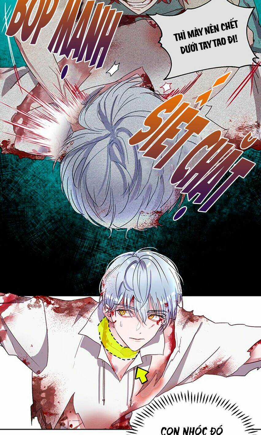 Cách Bảo Vệ Anh Trai Của Nữ Chính Chapter 5 trang 66