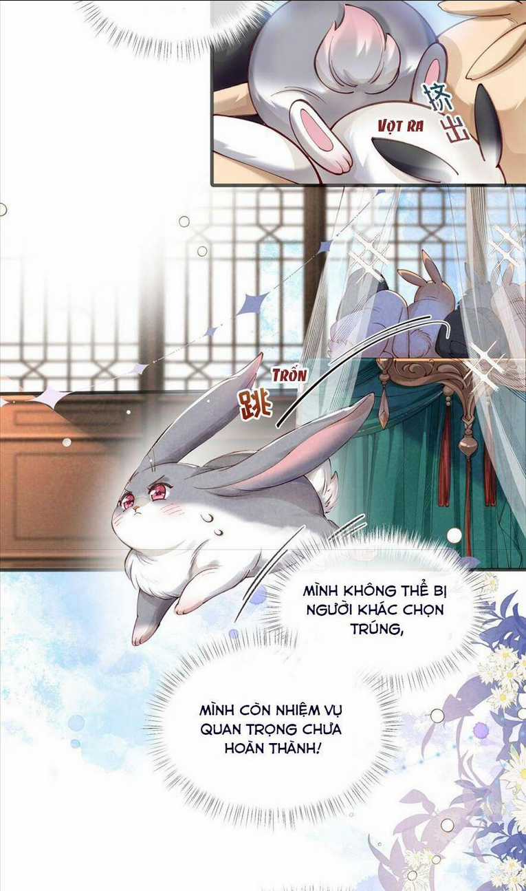 Cách Để Tồn Tại Như Một Cống Phẩm Chapter 1 trang 12