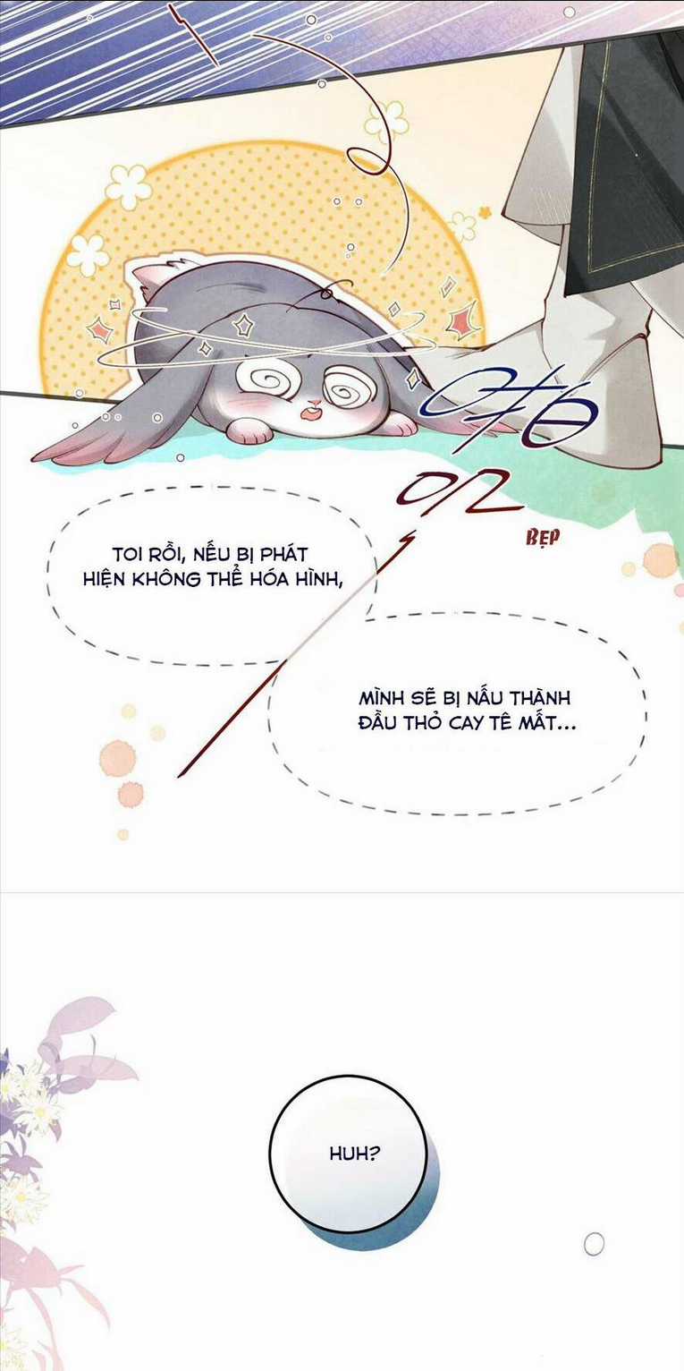 Cách Để Tồn Tại Như Một Cống Phẩm Chapter 1 trang 14