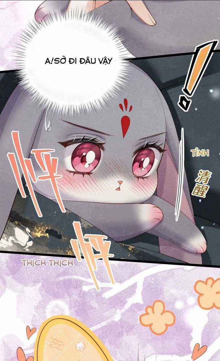 Cách Để Tồn Tại Như Một Cống Phẩm Chapter 10 trang 50