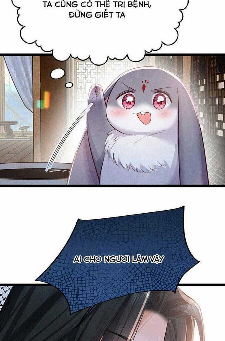 Cách Để Tồn Tại Như Một Cống Phẩm Chapter 12 trang 15