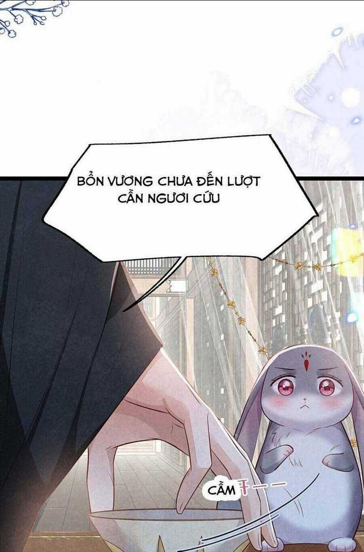 Cách Để Tồn Tại Như Một Cống Phẩm Chapter 12 trang 19