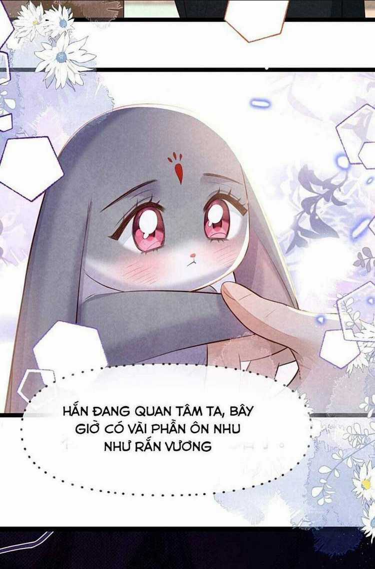 Cách Để Tồn Tại Như Một Cống Phẩm Chapter 12 trang 23