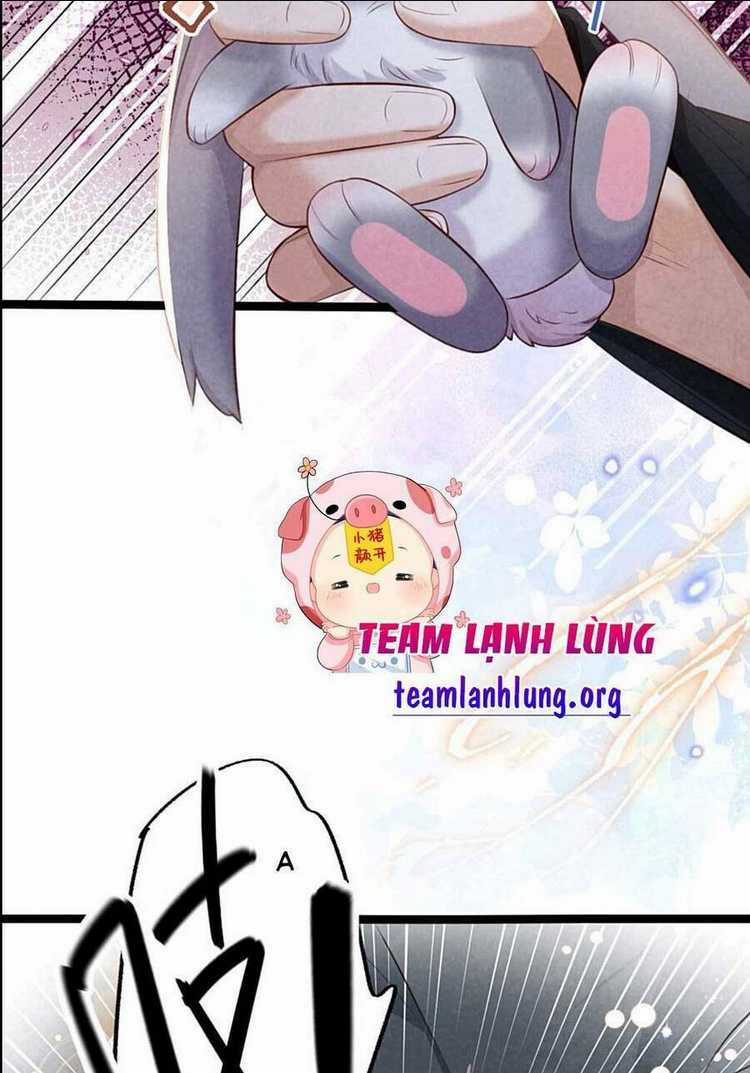 Cách Để Tồn Tại Như Một Cống Phẩm Chapter 12 trang 38