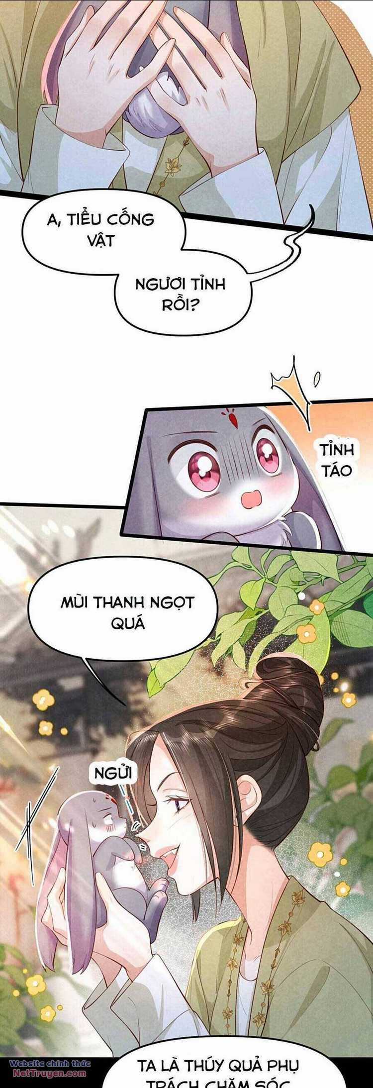 Cách Để Tồn Tại Như Một Cống Phẩm Chapter 13 trang 11