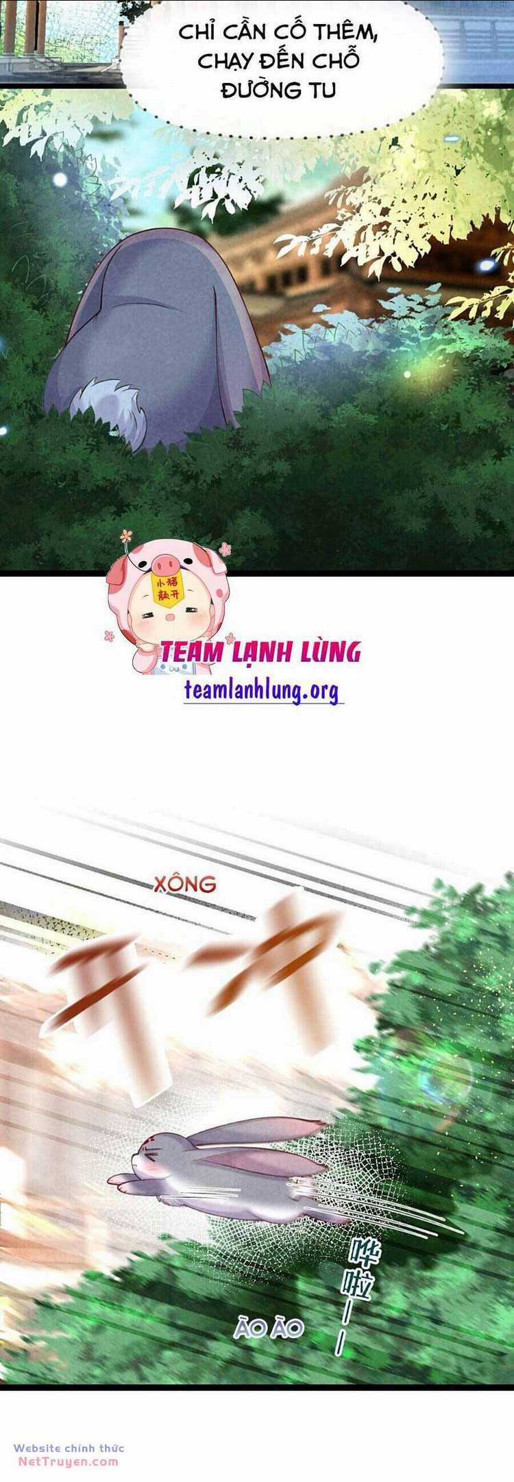 Cách Để Tồn Tại Như Một Cống Phẩm Chapter 13 trang 16