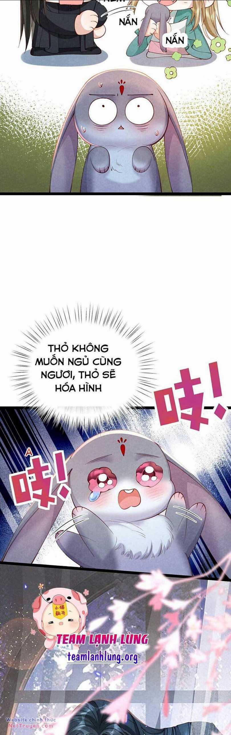 Cách Để Tồn Tại Như Một Cống Phẩm Chapter 13 trang 2