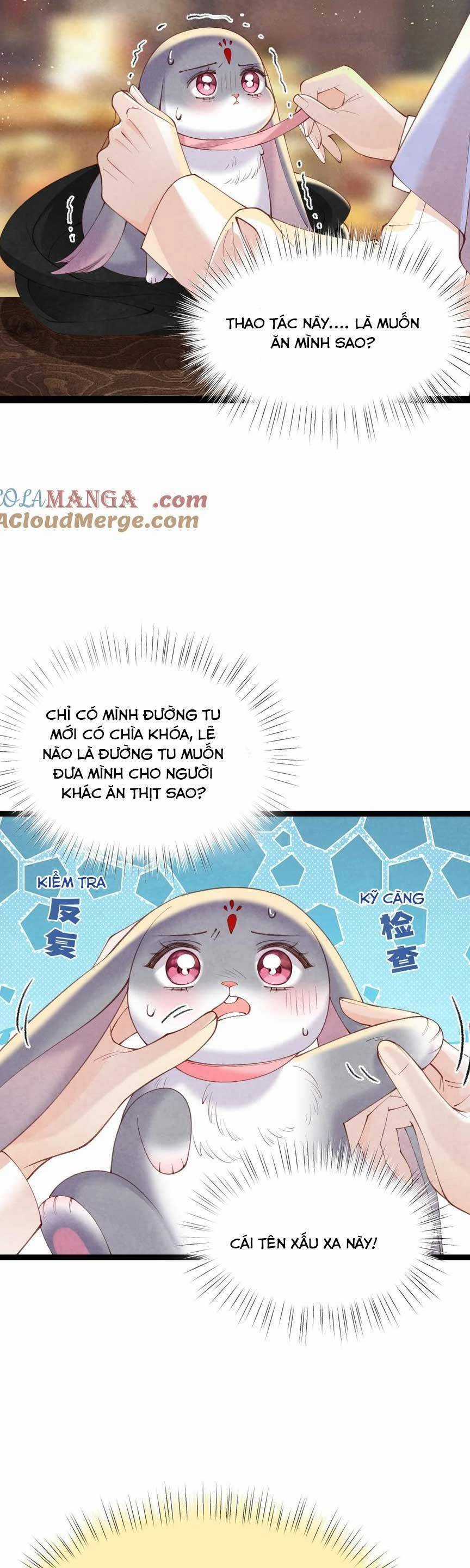 Cách Để Tồn Tại Như Một Cống Phẩm Chapter 16 trang 11