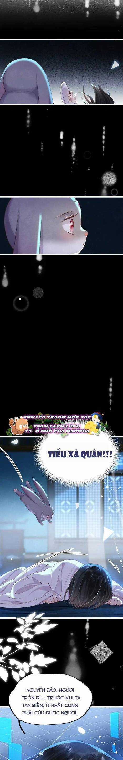 Cách Để Tồn Tại Như Một Cống Phẩm Chapter 17 trang 5