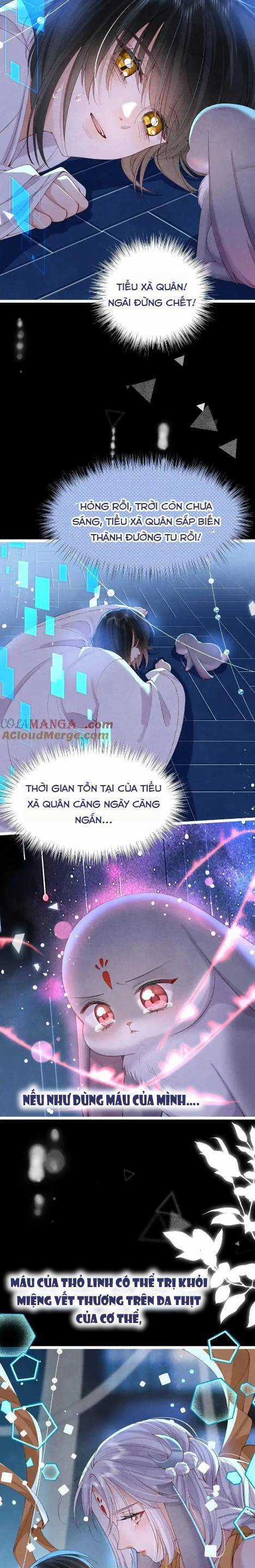 Cách Để Tồn Tại Như Một Cống Phẩm Chapter 17 trang 6