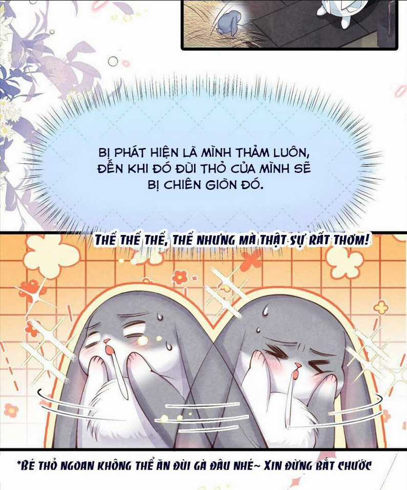 Cách Để Tồn Tại Như Một Cống Phẩm Chapter 2 trang 2