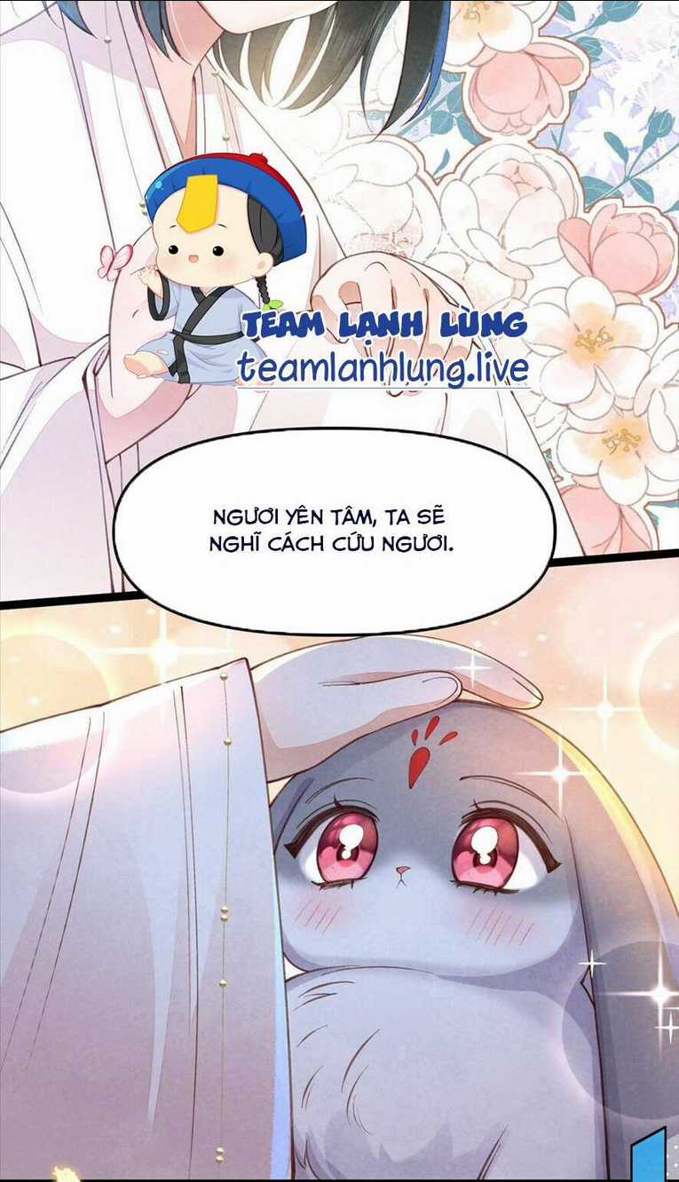 Cách Để Tồn Tại Như Một Cống Phẩm Chapter 3 trang 17