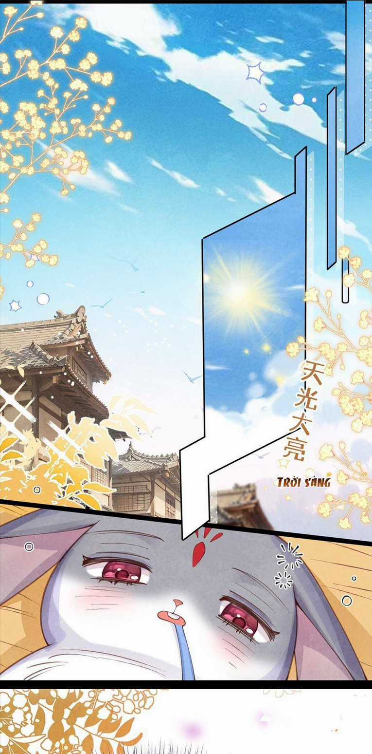 Cách Để Tồn Tại Như Một Cống Phẩm Chapter 3 trang 18