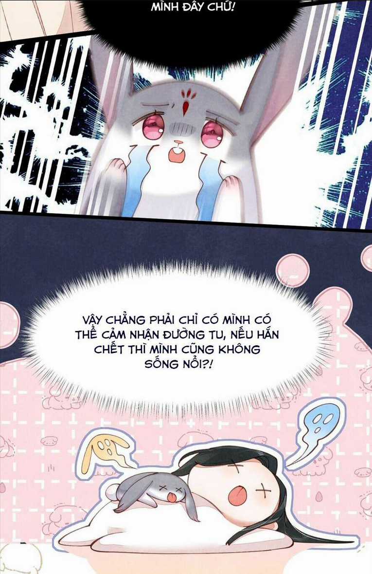 Cách Để Tồn Tại Như Một Cống Phẩm Chapter 3 trang 5