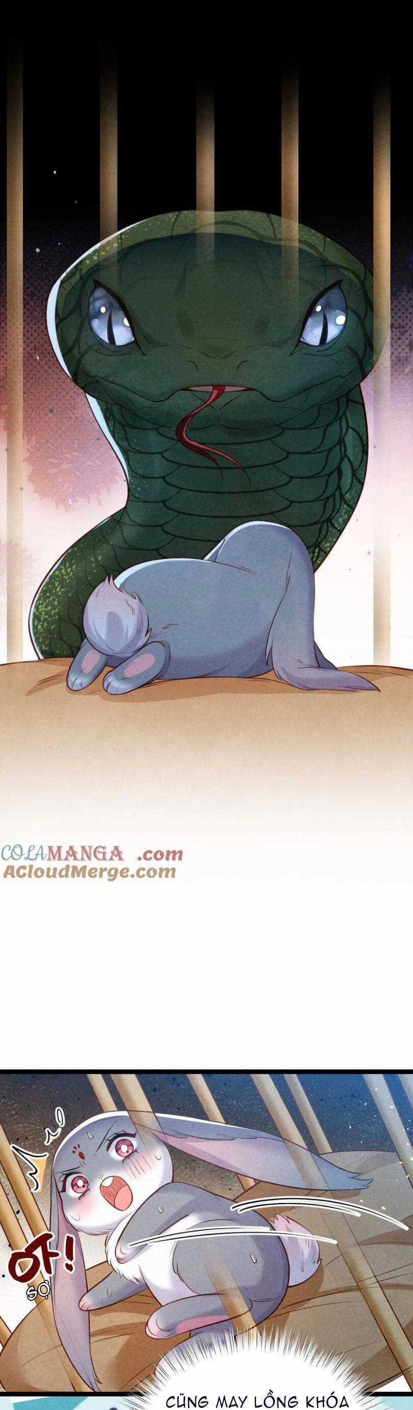 Cách Để Tồn Tại Như Một Cống Phẩm Chapter 33 trang 20