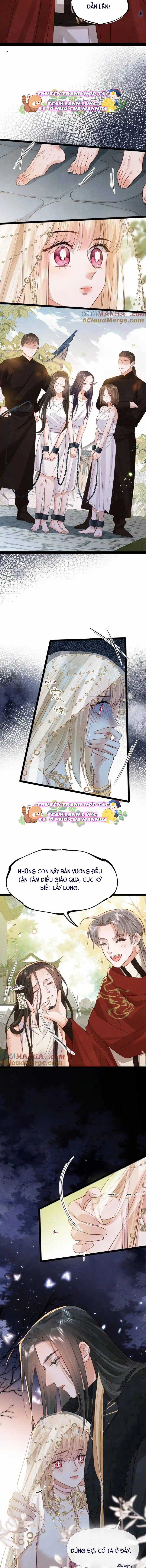 Cách Để Tồn Tại Như Một Cống Phẩm Chapter 39 trang 4