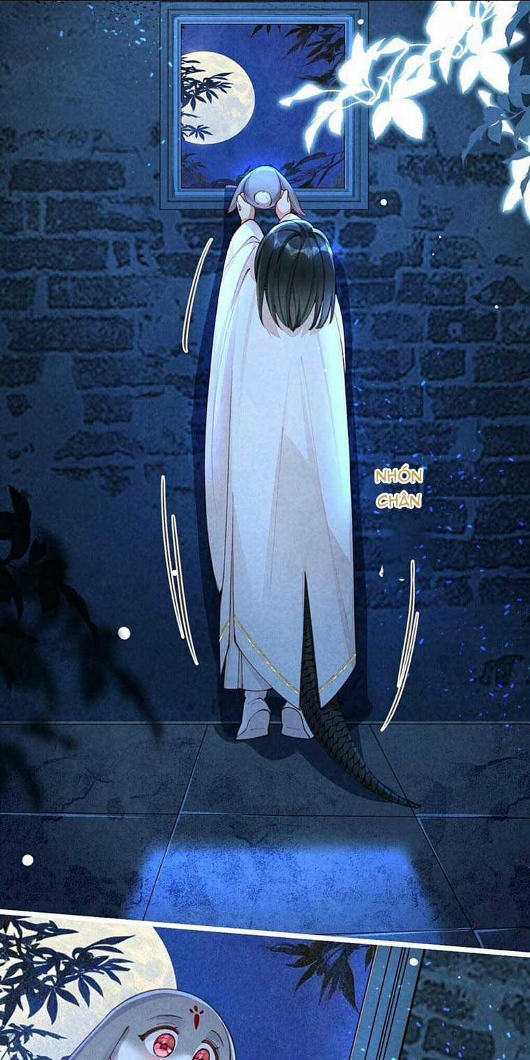 Cách Để Tồn Tại Như Một Cống Phẩm Chapter 4 trang 11