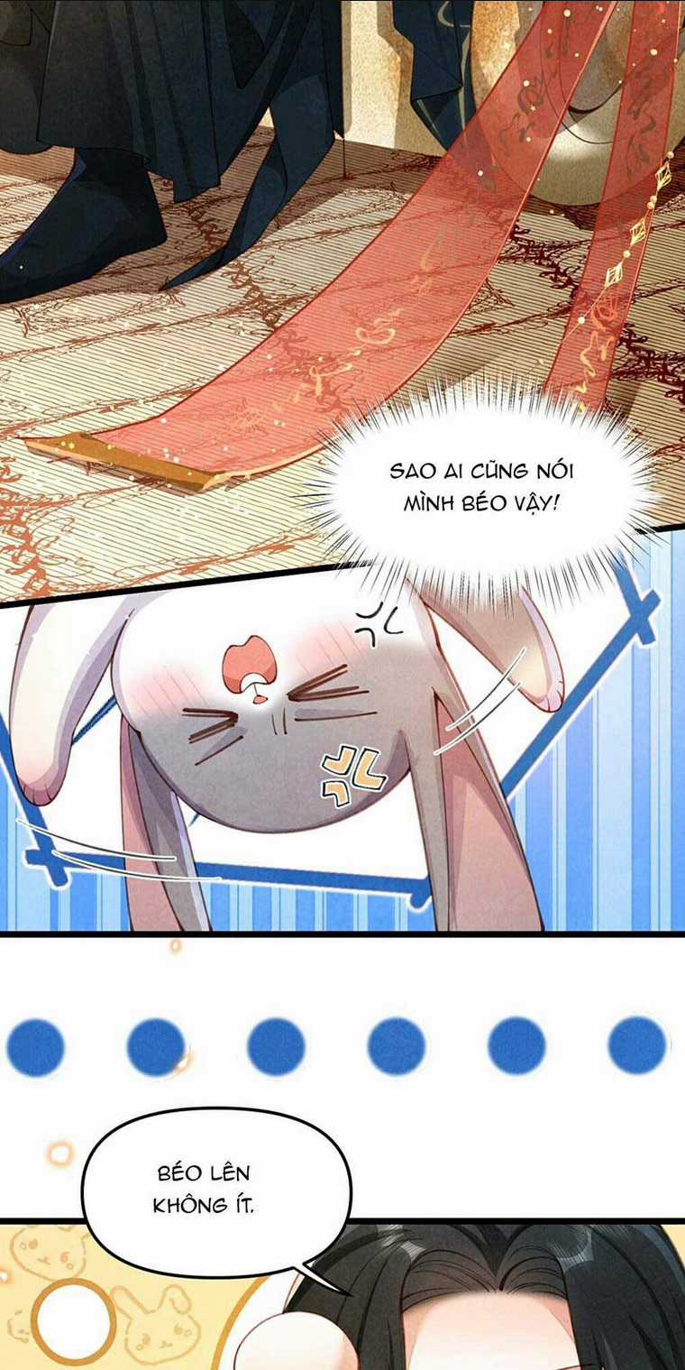 Cách Để Tồn Tại Như Một Cống Phẩm Chapter 4 trang 17