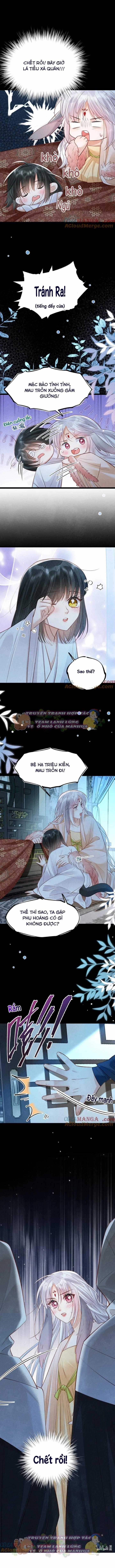 Cách Để Tồn Tại Như Một Cống Phẩm Chapter 42 trang 4