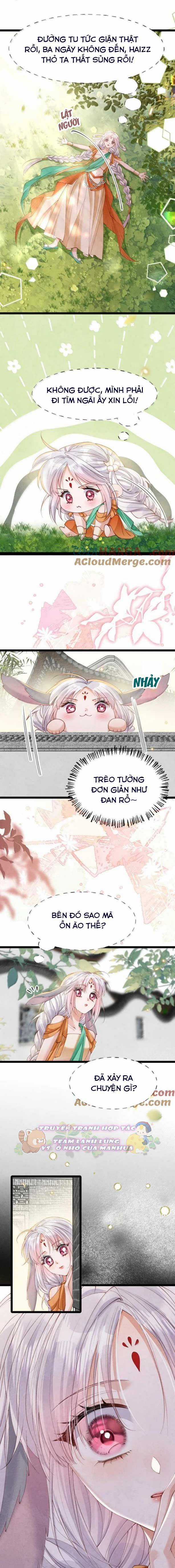 Cách Để Tồn Tại Như Một Cống Phẩm Chapter 43 trang 3