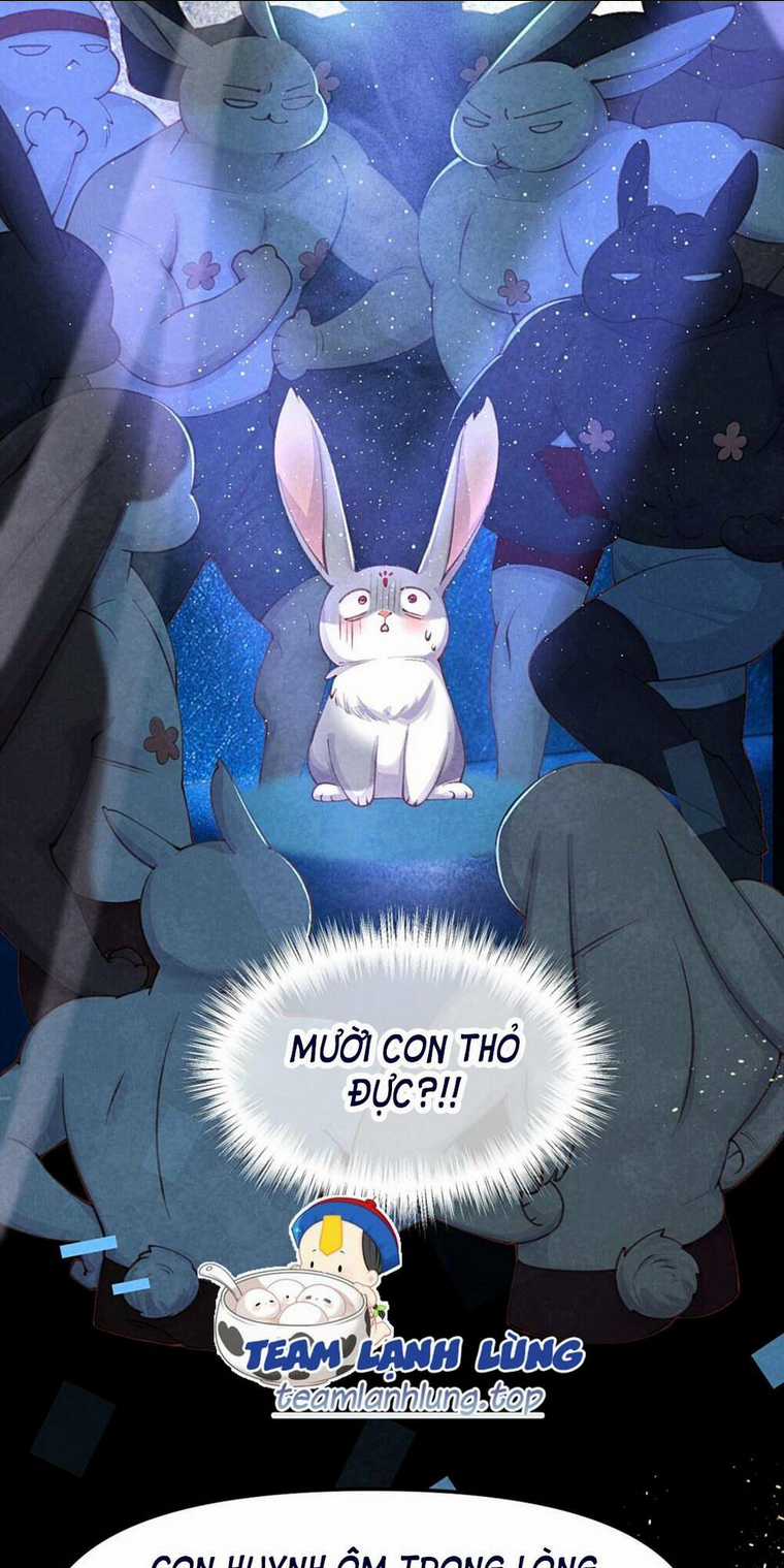 Cách Để Tồn Tại Như Một Cống Phẩm Chapter 6 trang 13