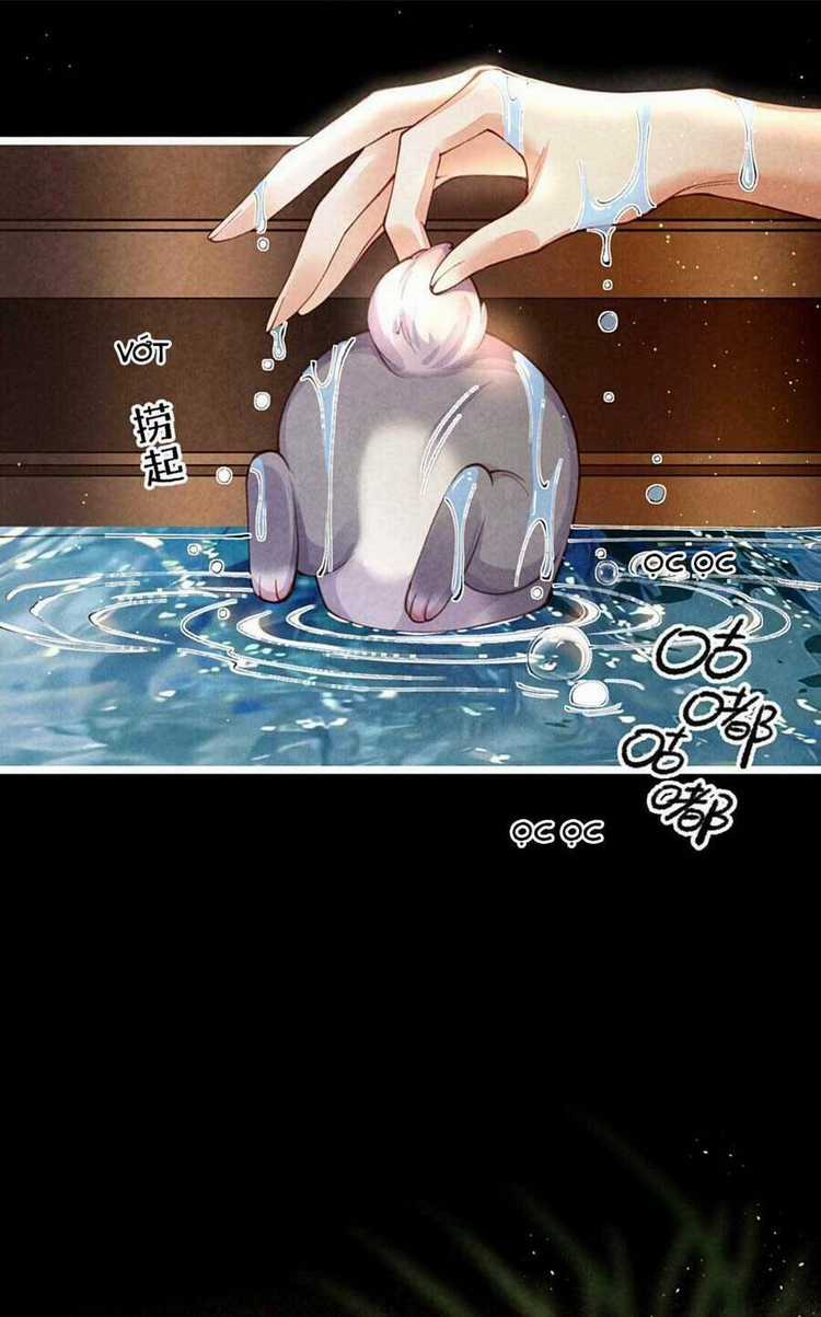 Cách Để Tồn Tại Như Một Cống Phẩm Chapter 7 trang 16