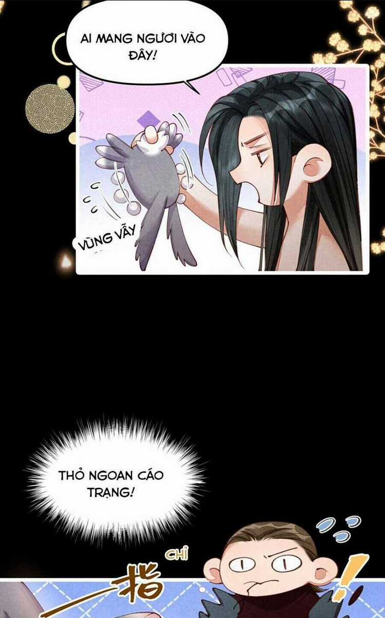 Cách Để Tồn Tại Như Một Cống Phẩm Chapter 7 trang 19