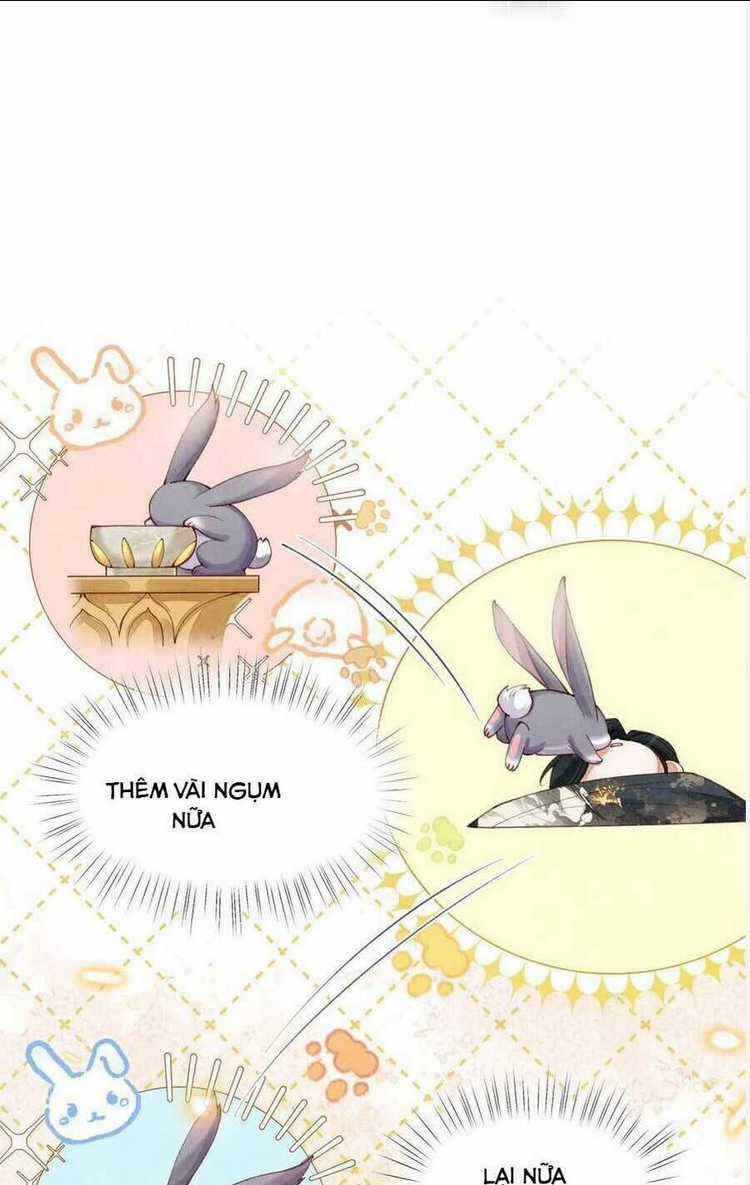 Cách Để Tồn Tại Như Một Cống Phẩm Chapter 8 trang 12