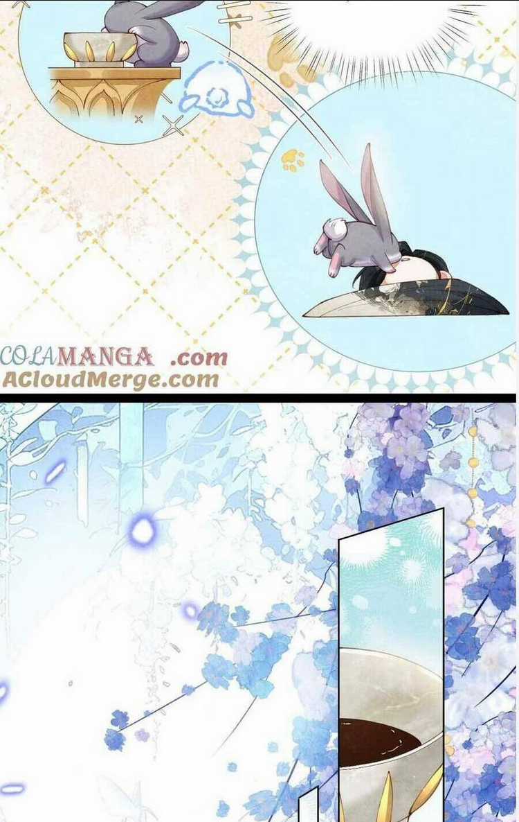 Cách Để Tồn Tại Như Một Cống Phẩm Chapter 8 trang 13