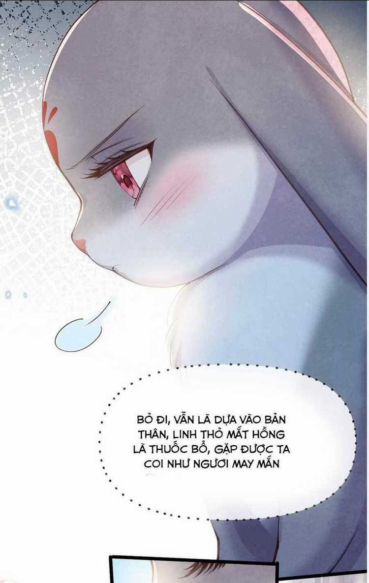 Cách Để Tồn Tại Như Một Cống Phẩm Chapter 8 trang 16