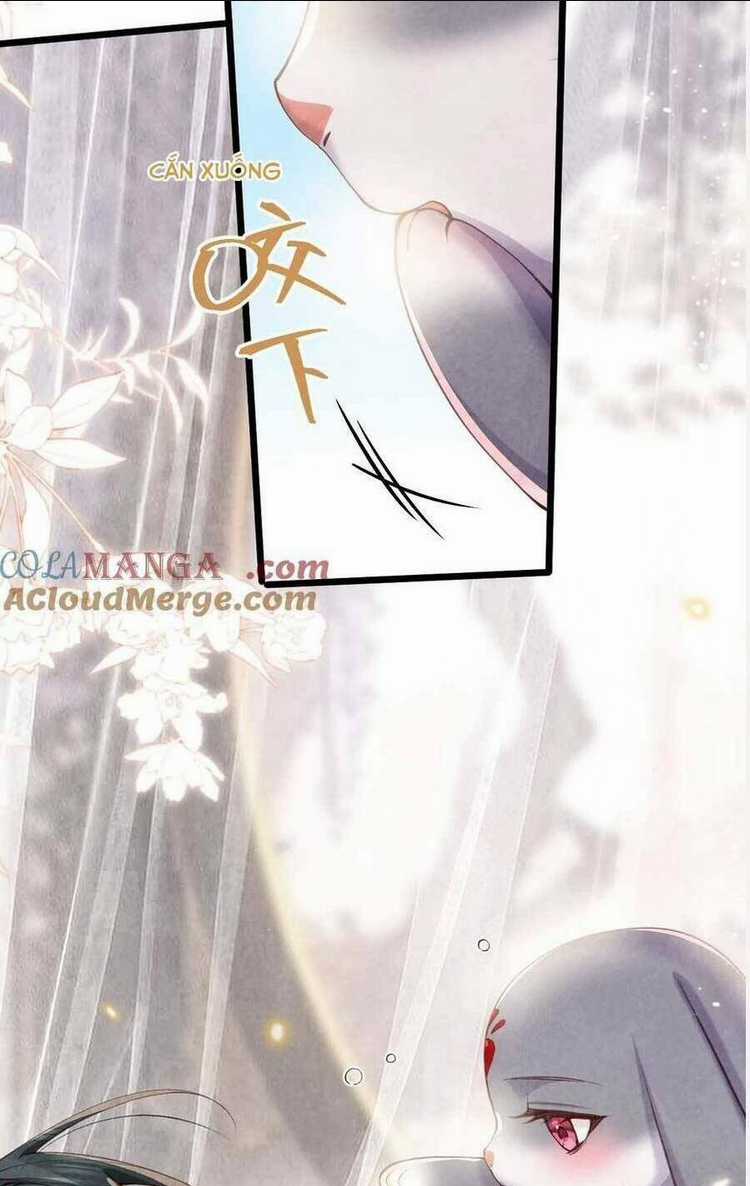 Cách Để Tồn Tại Như Một Cống Phẩm Chapter 8 trang 17