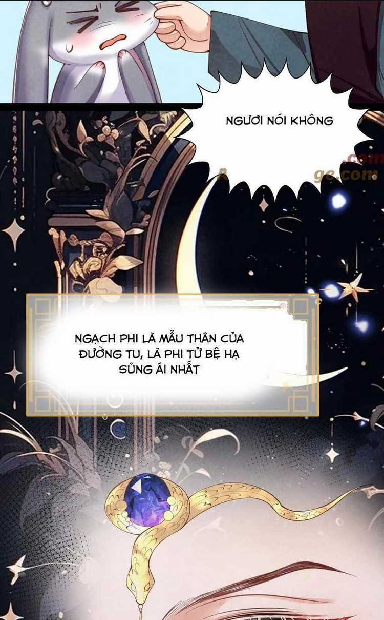 Cách Để Tồn Tại Như Một Cống Phẩm Chapter 8 trang 24