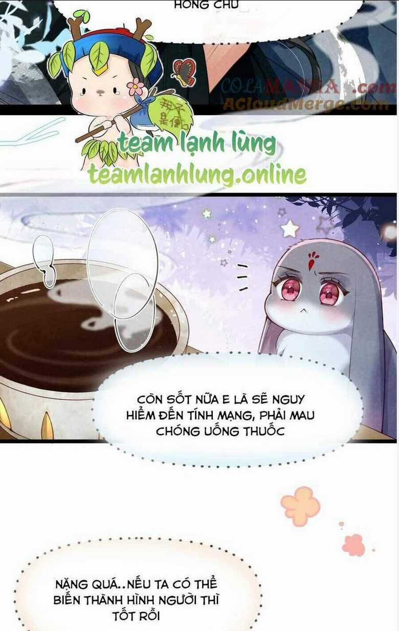 Cách Để Tồn Tại Như Một Cống Phẩm Chapter 8 trang 3